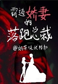 [女攻]霸道娇妻的落跑总裁