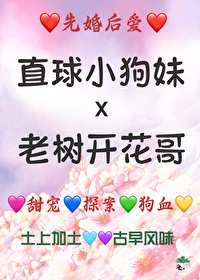 夫君他总是不行（探案）